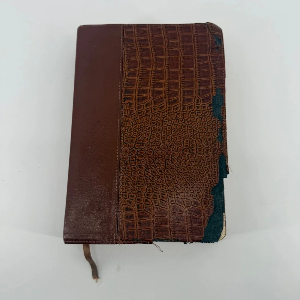 Life Application Study‎ Bible International Version Brown Crocodile Embossed